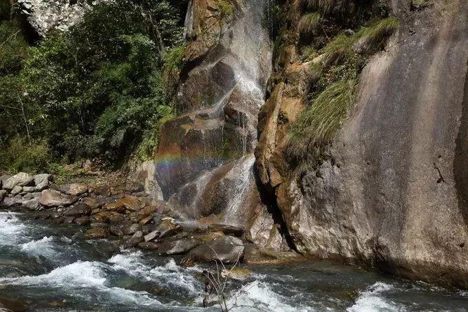 沪江开心词场